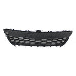 GRILLE LOWER — photo 5