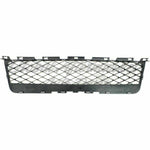 GRILLE LOWER BLACK — photo 5