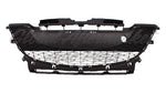GRILLE LOWER MATTE DARK GRAY USE W/MA1000223 COVER 2.0L — photo 1