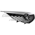 GRILLE W/CHROME MOULDING STD — photo 4