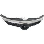 GRILLE CHROME/BLACK — photo 4