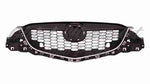 GRILLE PARTIAL PAINTED-BK W/CHROME MLDG — photo 1