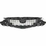 GRILLE PARTIAL PAINTED-BK W/CHROME MLDG — photo 4