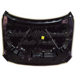 HOOD STEEL CAPA — photo 2
