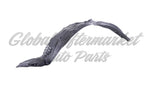 FENDER LINER LH STANDARD SDN — photo 4