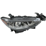 HEAD LAMP RH HALOGEN HQ — photo 4