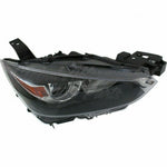 HEAD LAMP RH HALOGEN HQ — photo 4