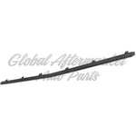 BUMPER MOLDING FR CENTER PRIMED BLACK W/AMG NIGHT PKG — photo 3