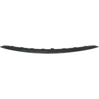 BUMPER MOLDING FR LOWER BRIGHT BLACK FINISH W/NIGHT PKG