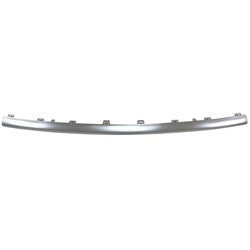BUMPER MOULDING FR CENTER CHROME FINISH