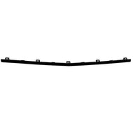 BUMPER MOLDING FR CENTER BRIGHT BLACK W/AMG