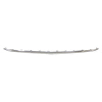 BUMPER MOLDING FR CHROME W/AMG