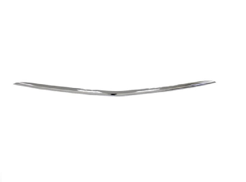 BUMPER MOLDING FR LOWER CENTER CHROME W/O AMG