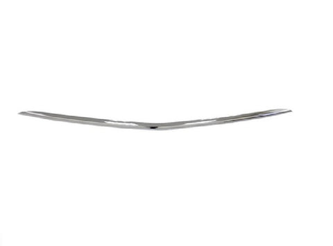 BUMPER MOLDING FR LOWER CENTER CHROME W/O AMG