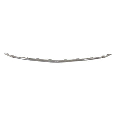 BUMPER MOLDING FR LOWER CENTER CHROME W/AMG