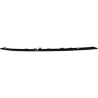 BUMPER MOLDING FR RH PTD BRIGHT BLACK W/NIGHT PKG