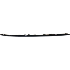 BUMPER MOLDING FR RH PTD BRIGHT BLACK W/NIGHT PKG