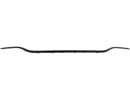 BUMPER MOLDING RR CENTER BRIGHT BLACK W/NIGHT PKG