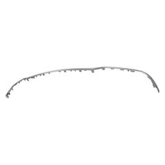 BUMPER MOLDING RR LOWER CHROME