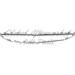 GRILLE MOLDING OUTER CHROME W/SPRT — photo 4