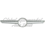 GRILLE MOLDING FR CENTER PTD SILVER GRAY W/O AMG NIGHT STYLING/CARBON FIBER PKG — photo 5
