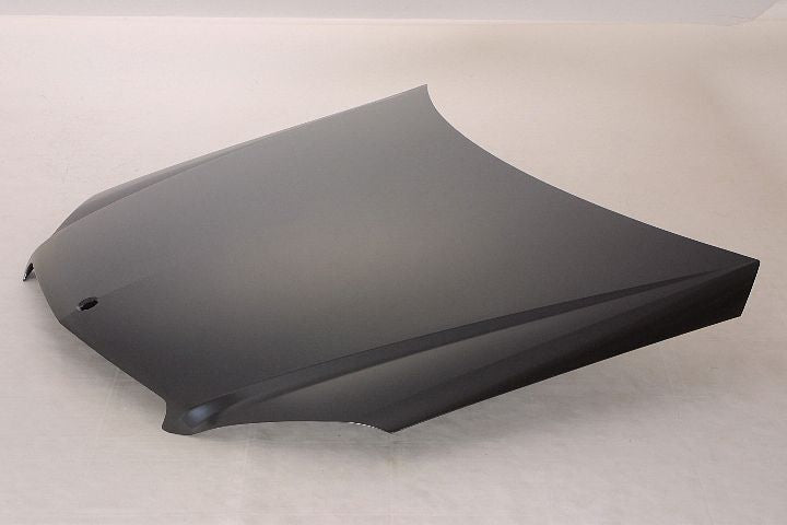 HOOD STEEL EXPT C63 CAPA