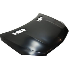 HOOD ALUMINUM CAPA