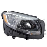 HEAD LAMP RH HALGOEN W/O LOGO HQ — photo 1