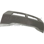 VALANCE FR PTD SILVER — photo 3