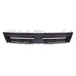 GRILLE W/BLACK MOULDING — photo 1