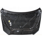 HOOD W/O TURBO STEEL CAPA — photo 4
