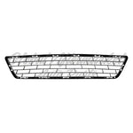 GRILLE LOWER EXCLUDE SR — photo 1