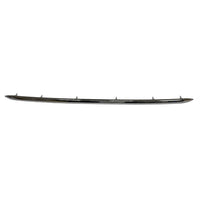 BUMPER MOLDING FR LOWER SMOKED CHROME W/MOUNTING HARDWARE SR