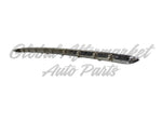 BUMPER MOLDING RR CENTER CHROME — photo 3