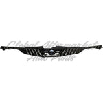 GRILLE W/CHROME MOULDING — photo 5