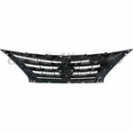 GRILLE CHROME/BLACK — photo 5