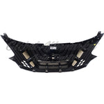 GRILLE BLACK W/CHROME MOULDING — photo 5