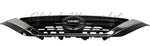GRILLE UPPER PTD SILVER GRAY W/CHROME MOULDING — photo 4