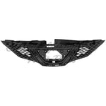 GRILLE FR PTD BLACK W/CHROME MOLDING/CAMERA — photo 4