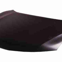 HOOD ALUMINUM CAPA