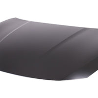 HOOD ALUMINUM CAPA