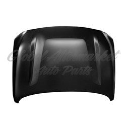 HOOD STEEL CAPA