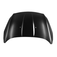HOOD STEEL CAPA