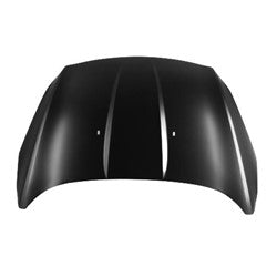 HOOD STEEL CAPA