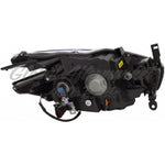 HEAD LAMP LH HALOGEN W/BLACK BEZEL — photo 2