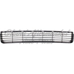 GRILLE LOWER — photo 5