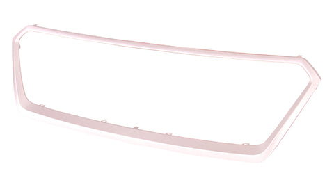 GRILLE SURROUND PAINTED SILVER-GRAY