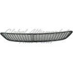 GRILLE LOWER — photo 4