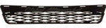 GRILLE LOWER — photo 4