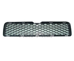GRILLE LOWER — photo 1